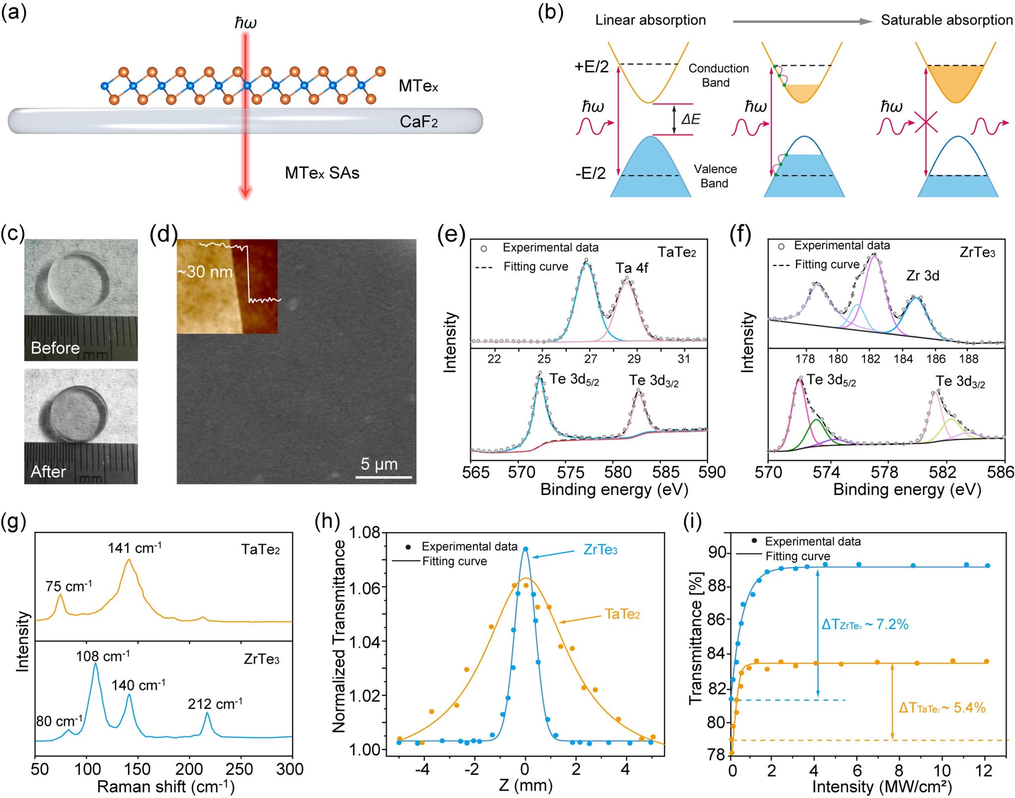Adv. Funct. Mater., 2025, e30237