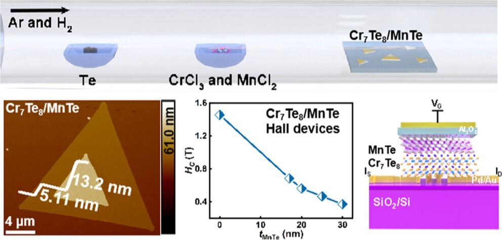  ACS Nano 2024, 18, 23508−23517. 